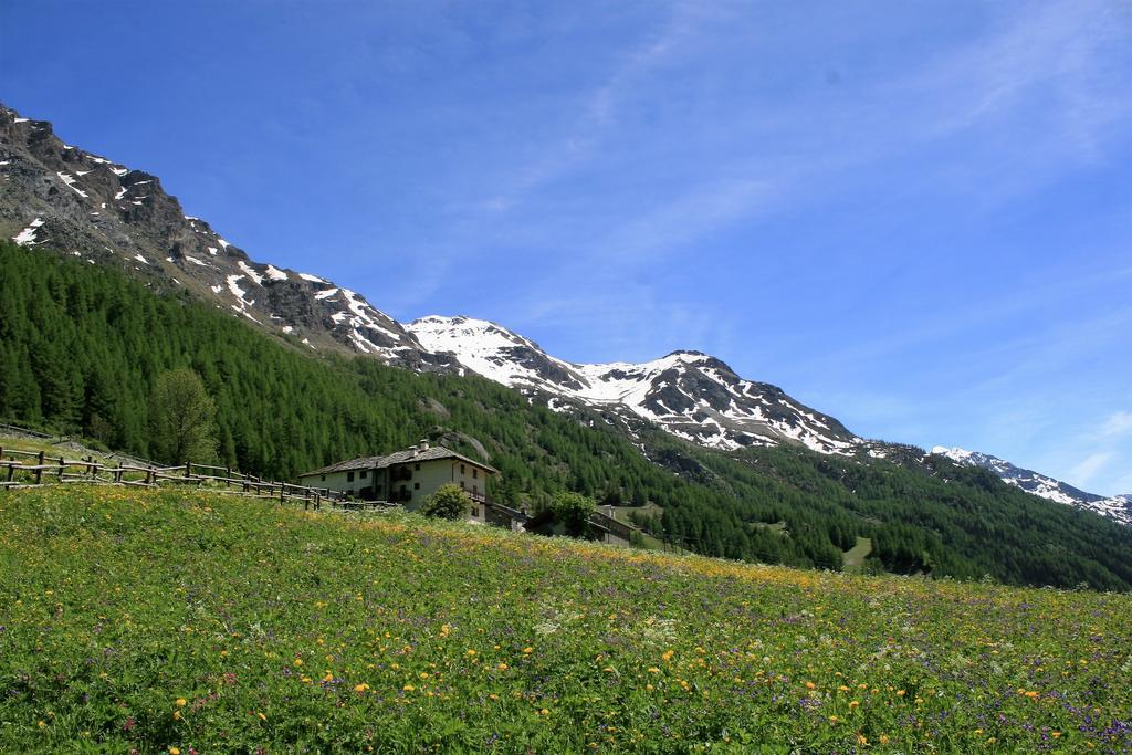 Maison Des Myrtilles Valgrisenche Exterior foto